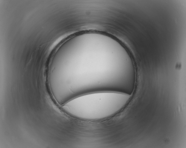 X0000112140983200908070935
