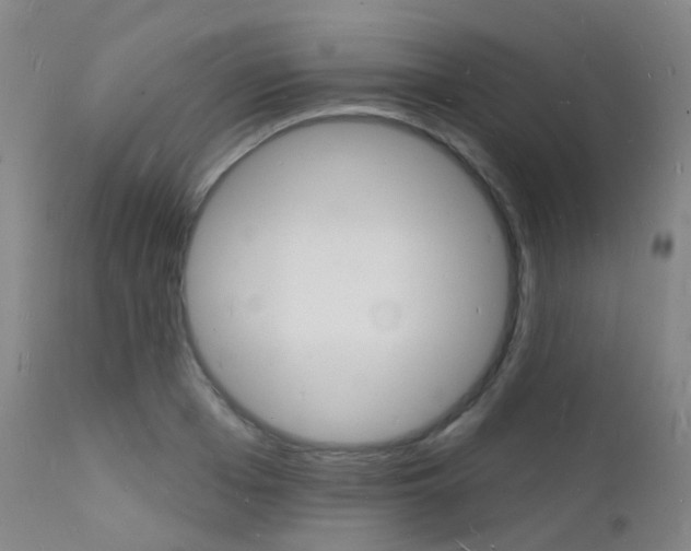 X0000112140985200908070935
