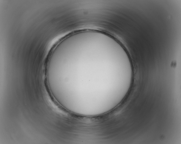 X0000112140987200908070935