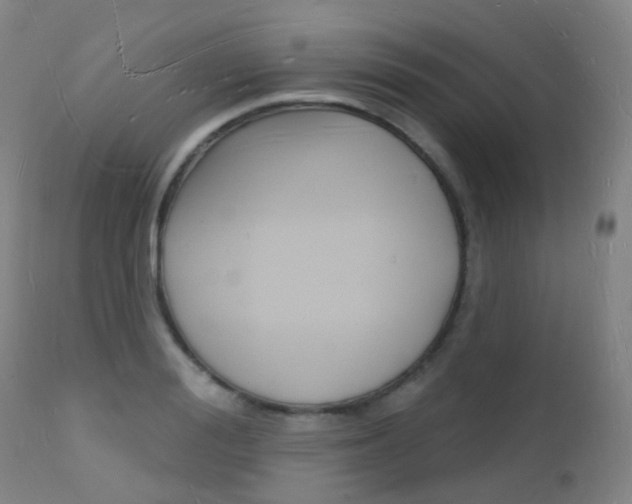 X0000112140988200908070935