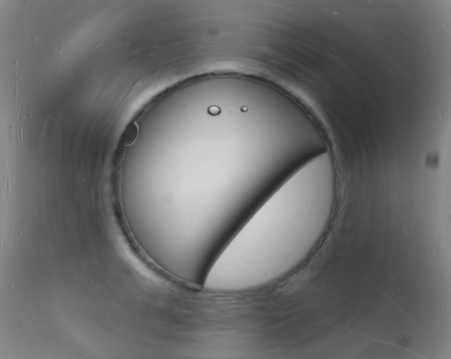X0000112140991200908070935