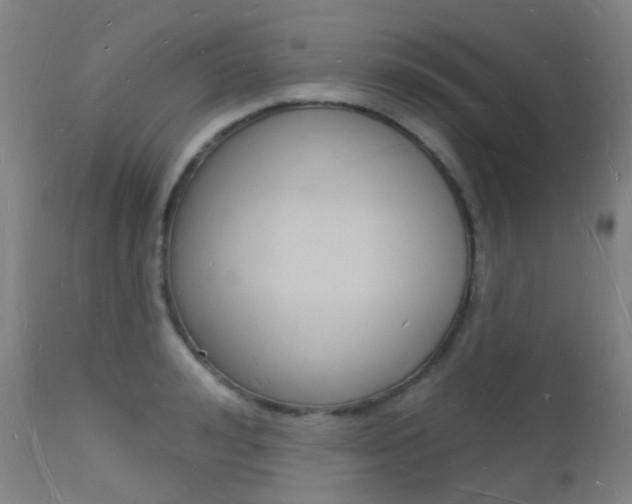 X0000112140992200908070935