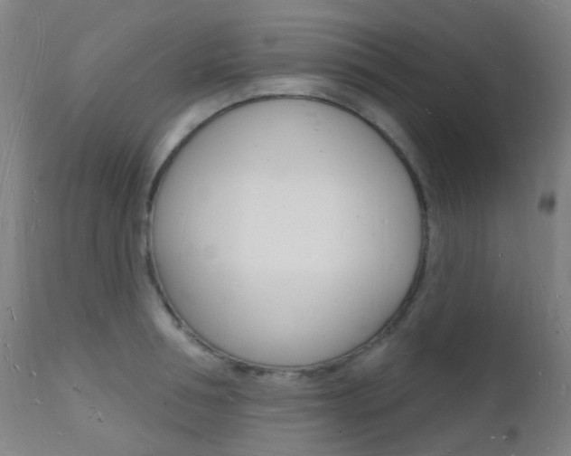 X0000112140994200908070935