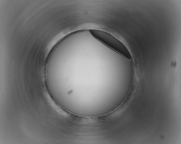 X0000112140997200908070935