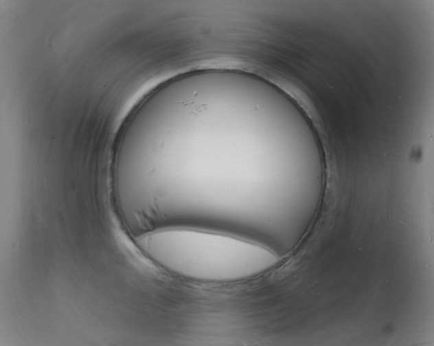 X0000112141000200908070935
