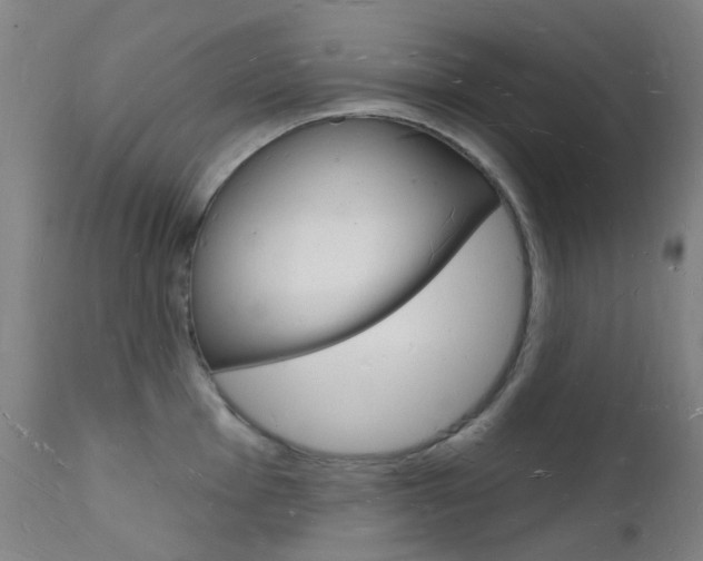 X0000112141001200908070935