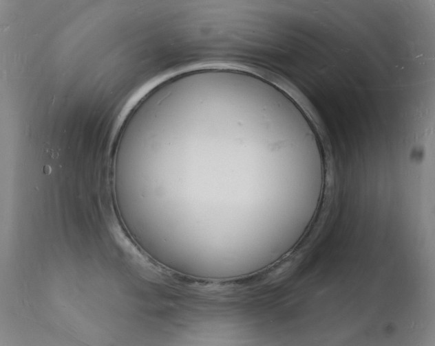 X0000112141004200908070935