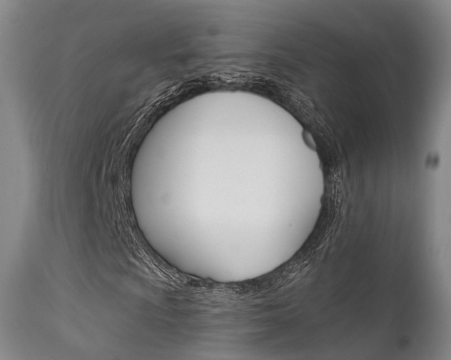 X0000112141009200908070934
