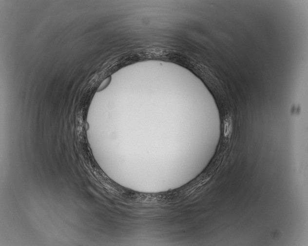 X0000112141011200908070934