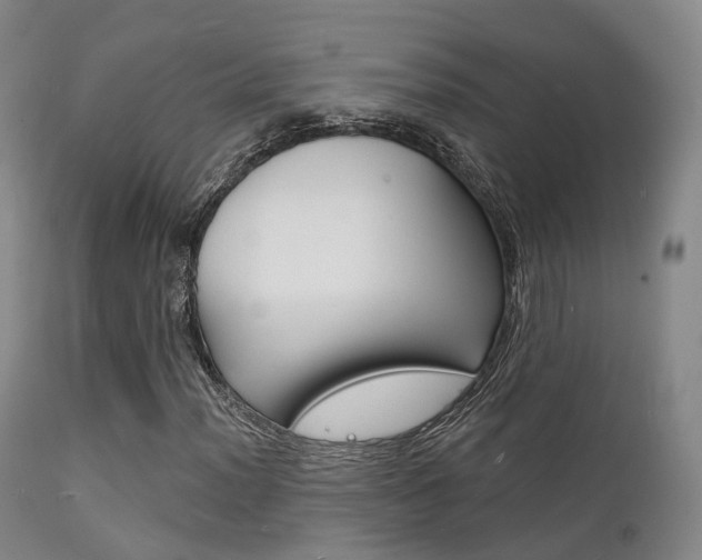 X0000112141012200908070934