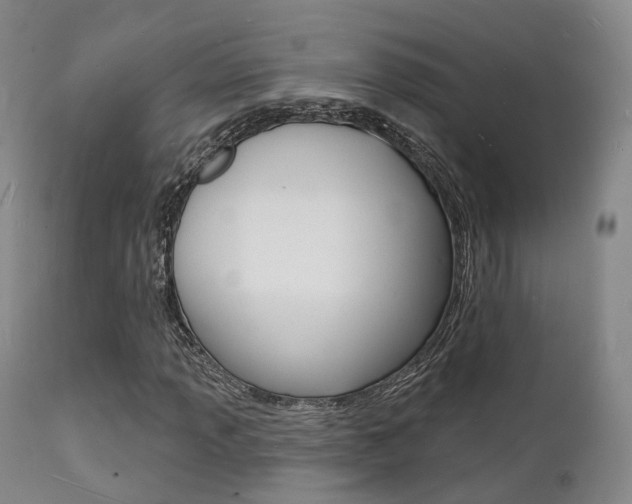 X0000112141013200908070934