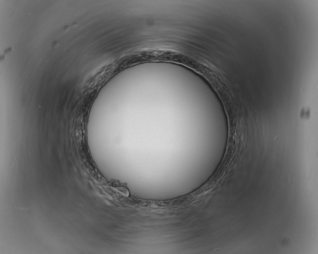 X0000112141014200908070934