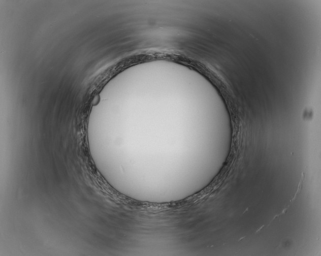 X0000112141015200908070934