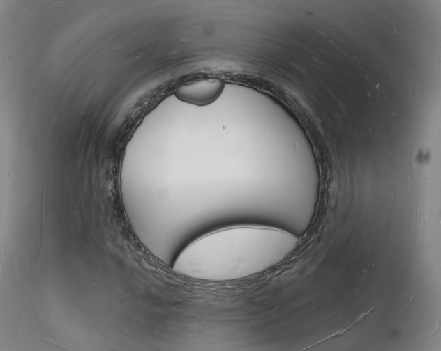 X0000112141016200908070934