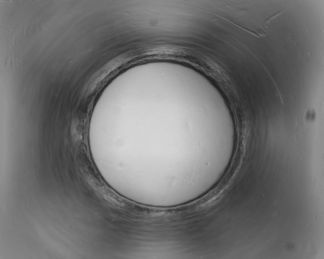 X0000112141017200908070934