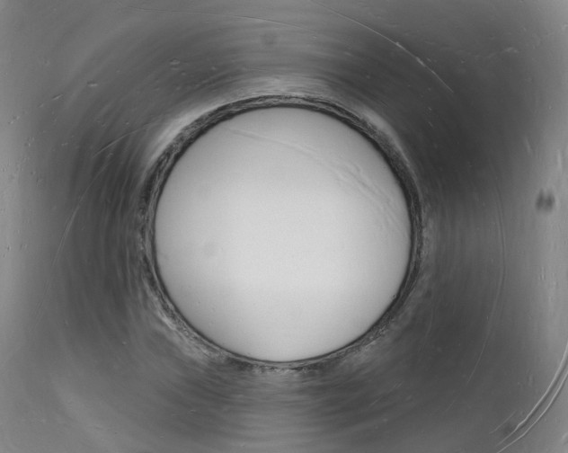 X0000112141019200908070934