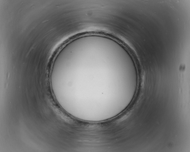 X0000112141021200908070934