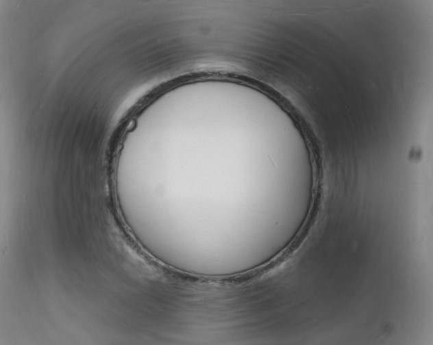 X0000112141022200908070934