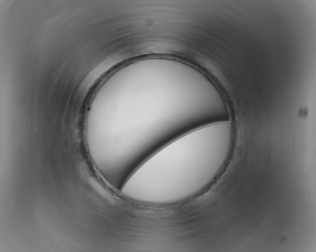 X0000112141026200908070934