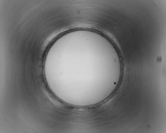 X0000112141027200908070934