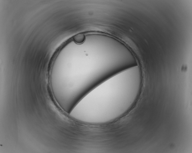 X0000112141028200908070934