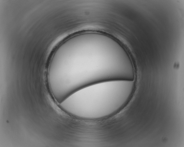 X0000112141029200908070934