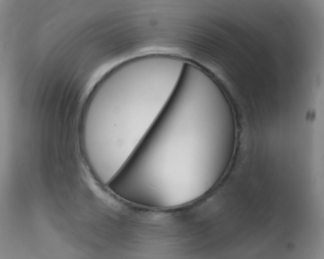 X0000112141030200908070934