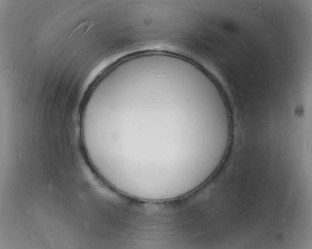 X0000112141032200908070934