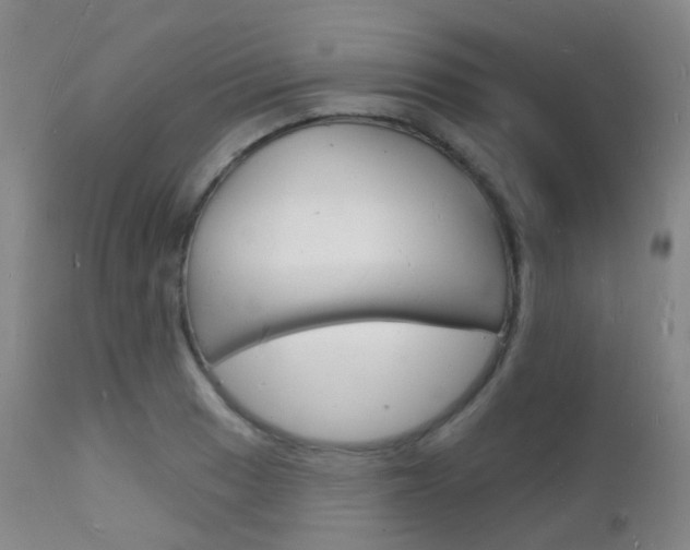 X0000112141033200908070934