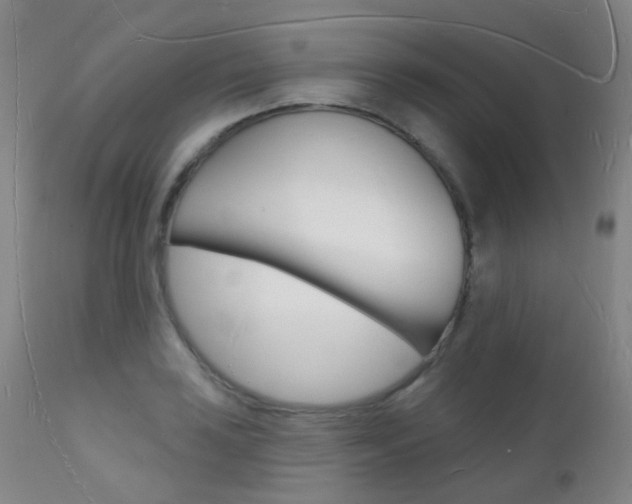 X0000112141035200908070934