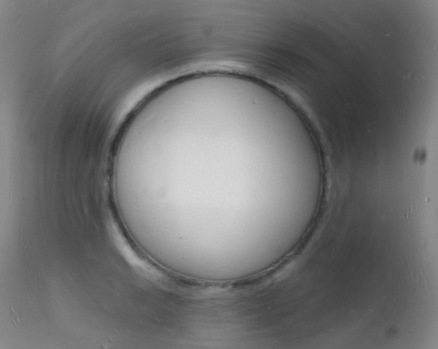 X0000112141038200908070934