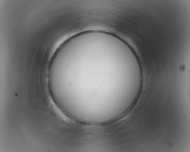 X0000112141040200908070934
