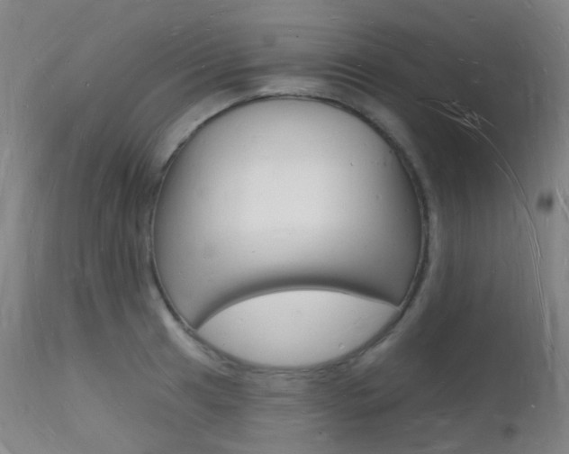 X0000112141041200908070934