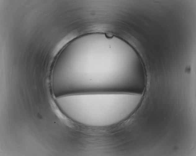 X0000112141042200908070934
