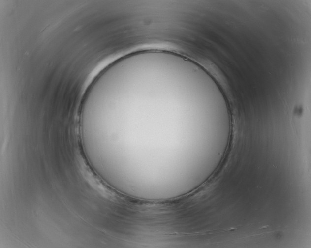 X0000112141044200908070934