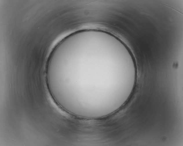 X0000112141045200908070934
