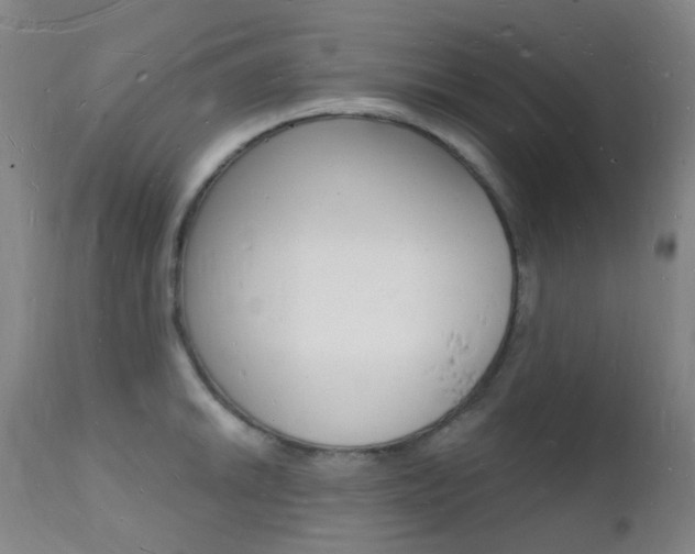 X0000112141046200908070934
