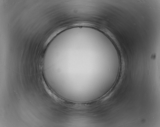 X0000112141049200908070934