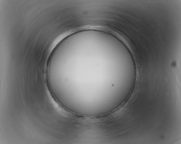 X0000112141050200908070934