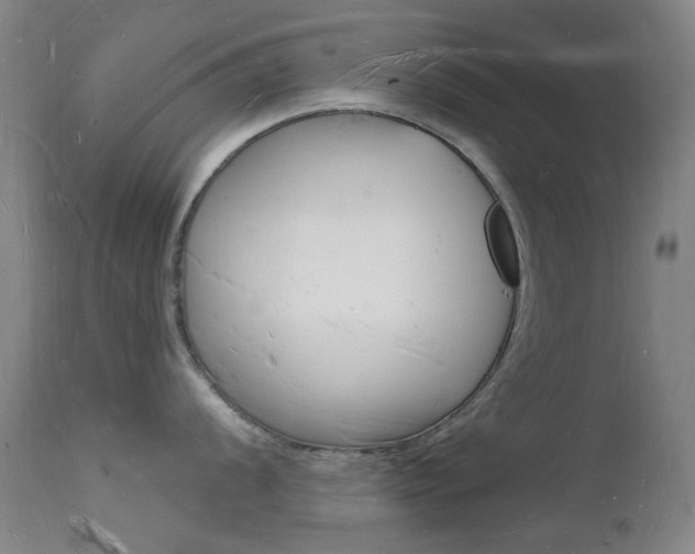 X0000112141056200908070934