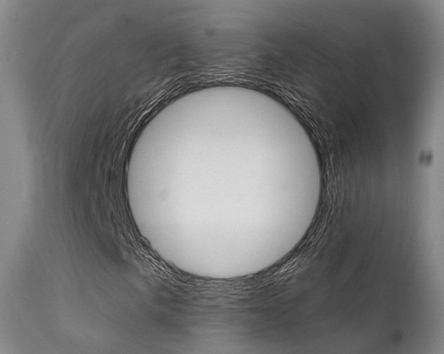 X0000112141057200908070934