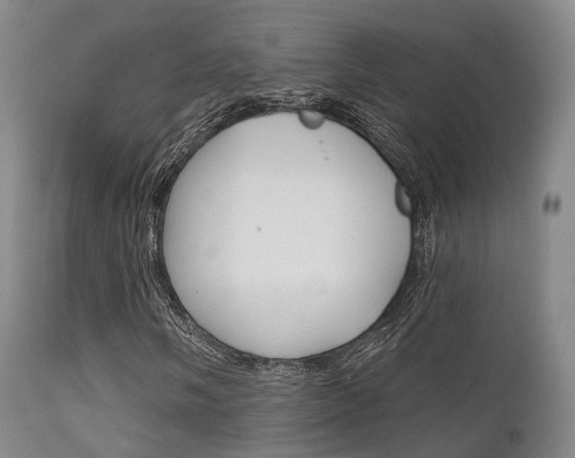 X0000112141058200908070934