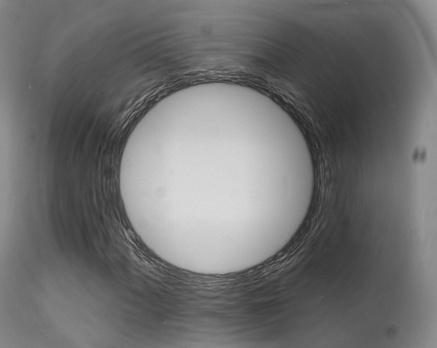 X0000112141060200908070934