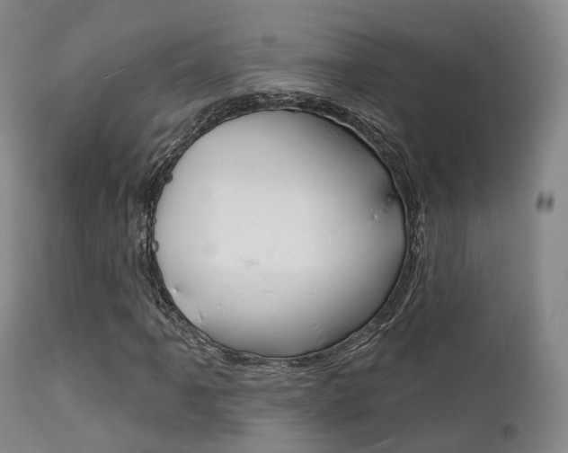 X0000112141061200908070934