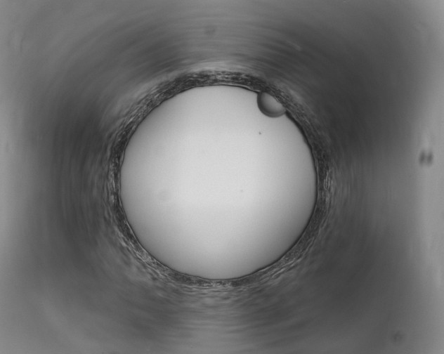 X0000112141062200908070934