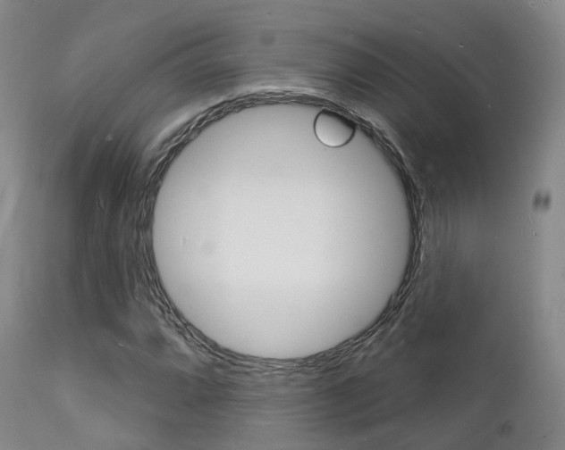 X0000112141064200908070934