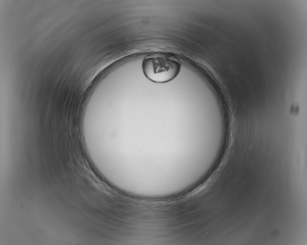 X0000112141065200908070934