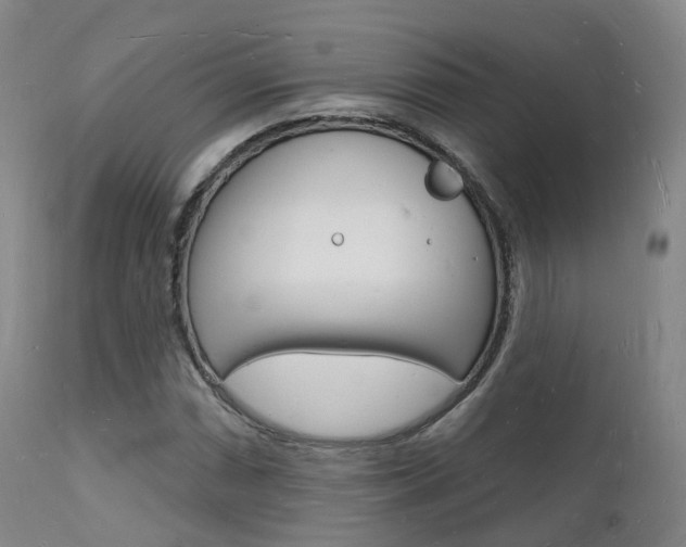 X0000112141066200908070934