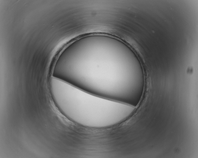 X0000112141072200908070934