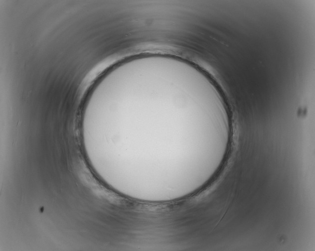X0000112141074200908070934